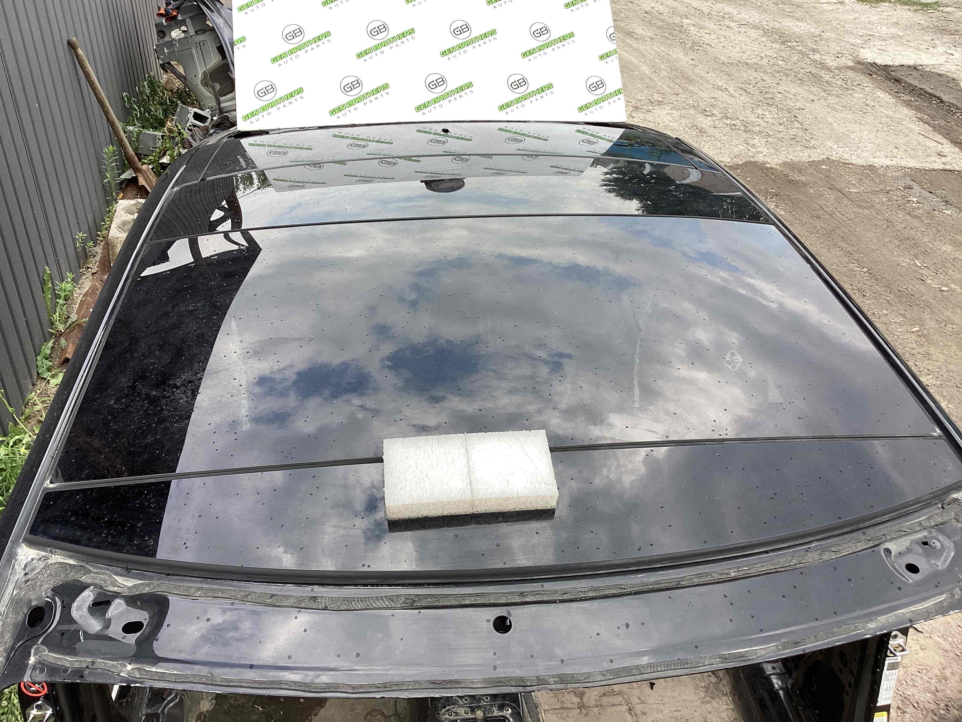 Скло даху панорама