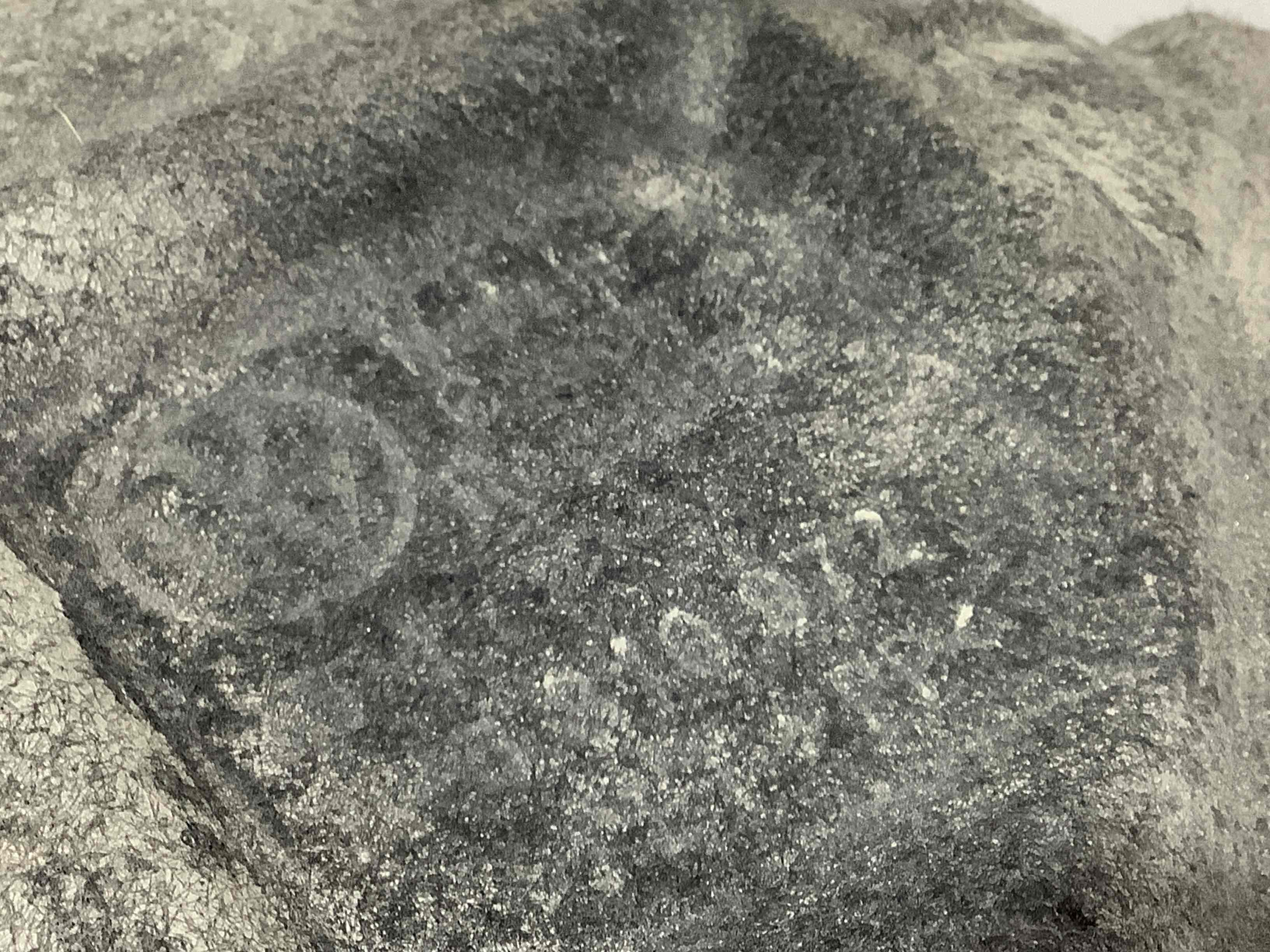 Захист арок задній правий підкрилок