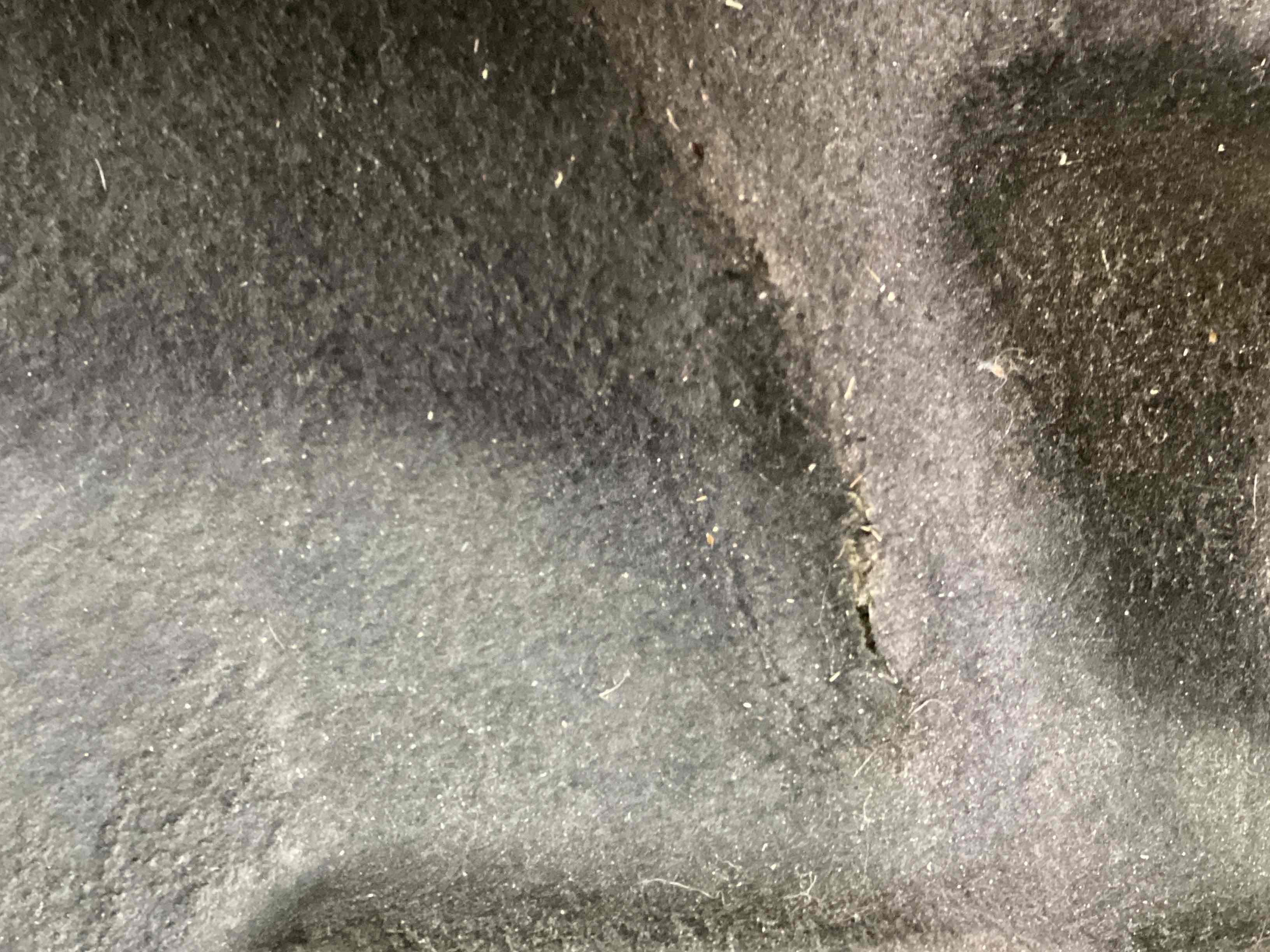 Шумоізоляція