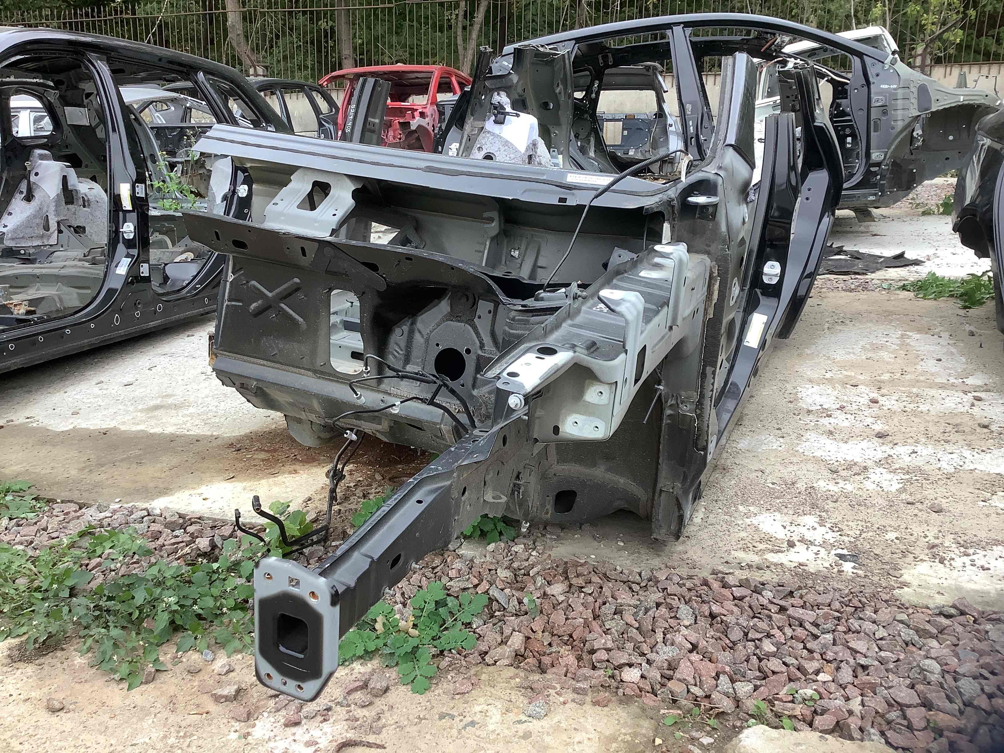 Чверть передня ліва