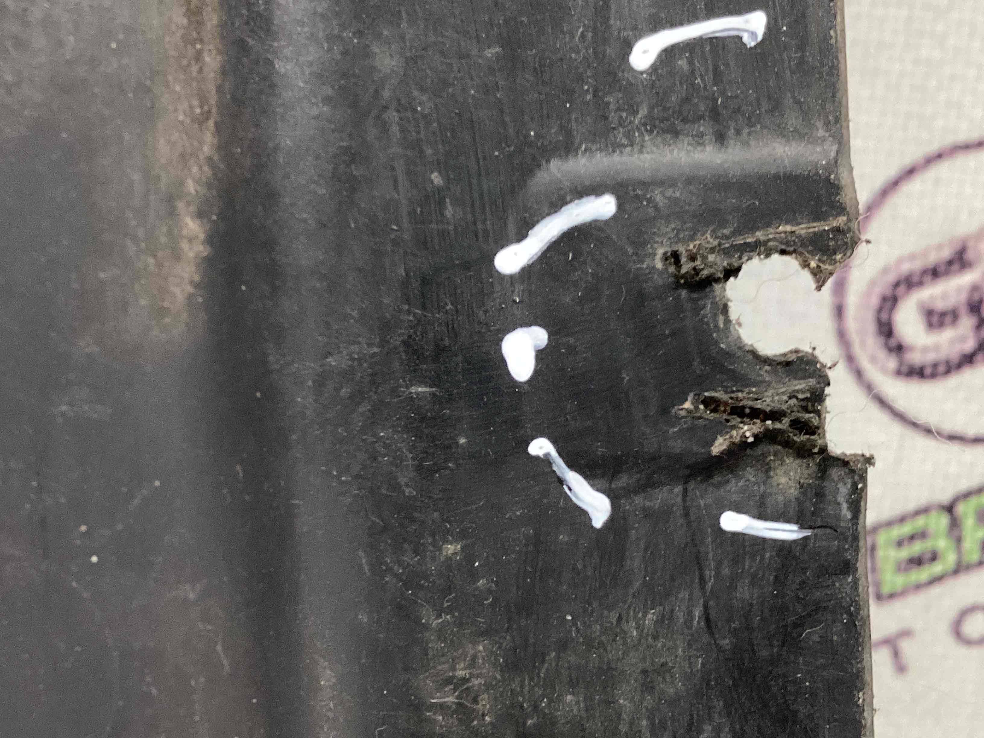 Захист днища